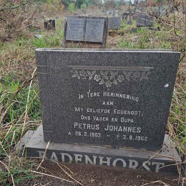 BADENHORST Petrus Johannes 1903-1962