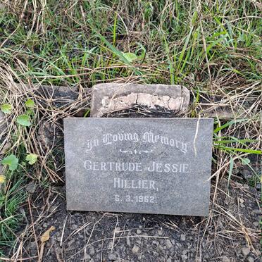 HILLIER Gertrude Jessie -1962