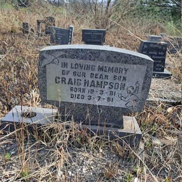 HAMPSON Craig 1981-1981