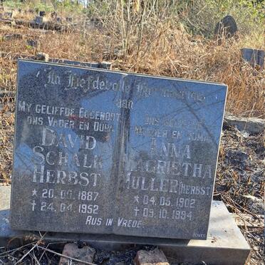 HERBST David Schalk 1887-1952 & MULLER Anna Magrietha 1902-1994