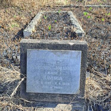 HAVINGA Martinus Johannes 1895-1953