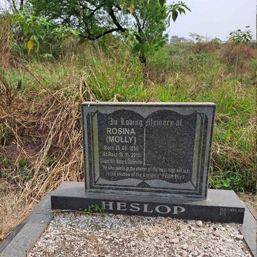 HESLOP Rosina 1950-2015