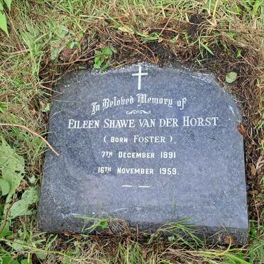 HORST Eileen Shawe, van der nee FOSTER 1891-1959