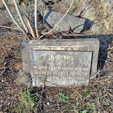 LINFORTH Herbert Henry 188?-1945