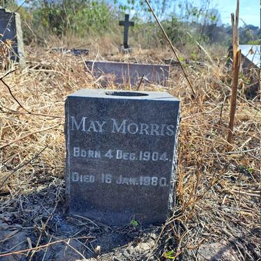 MORRIS May 1904-1980