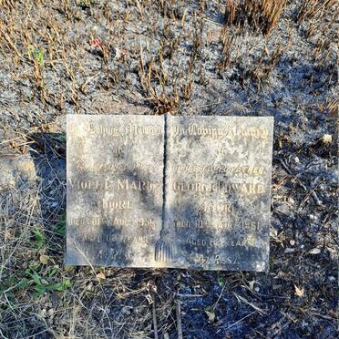 MOORE George Edward -1961 & Violet Marion -1950