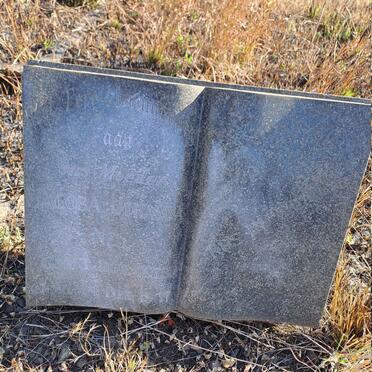 NEL Jacoba Johanna 1873-1957