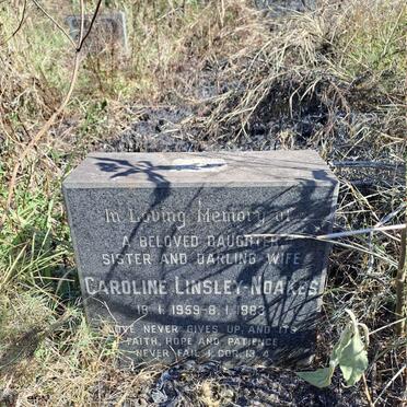 NOAKES Caroline, LINSLEY 1959-1983