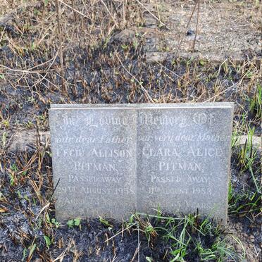 PITMAN Cecil Allison -1958 & Clara Alice -1953