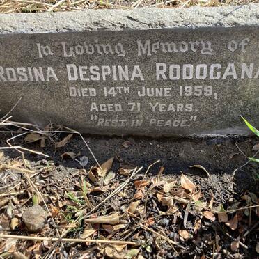 RODOCANAHI Rosina Despina -1959