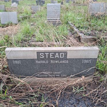 STEAD Harold Rowlands 1911-1967