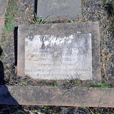 STONE Alexander -1966