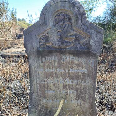 SCHNAAR Malcolm D. 1915-1935