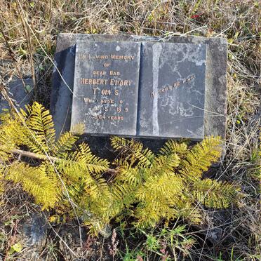 THOMAS Herbert Ewart -1949