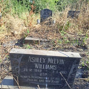 WILLIAMS Ashley Melvin 1949-1993