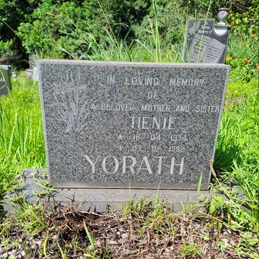 Y-Surnames :: Vanne-Y