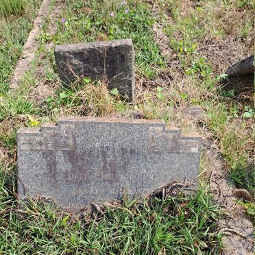 YOUNG Edith Emily 1?73-