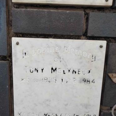 MOLYNEUX Tony 1939-1984