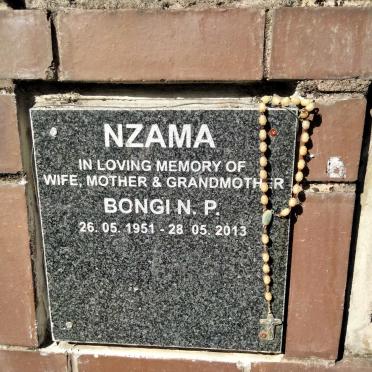 NZAMA Bongi N.P. 1951-2013