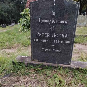 BOTHA Peter 1954-1987
