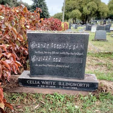 ILLINGWORTH Celia White 1955-1968