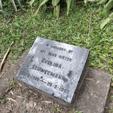 SCHWEGMANN Eveline 1909-1909
