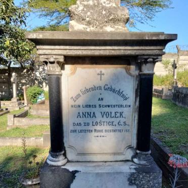 VOLEK Anna
