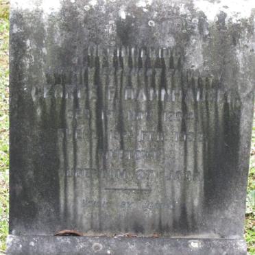 DANNHAUSER George 1904-1931