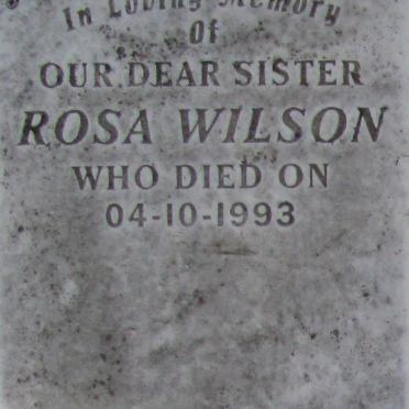 WILSON Rosa -1993