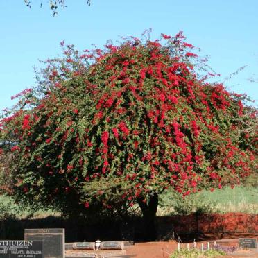 Kwazulu-Natal, PONGOLA, Main cemetery