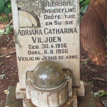 VILJOEN Adriana Catharina 1956-1956