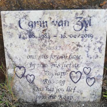ZYL Carin, van 1984-2019
