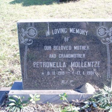 MOLLENTZE Petronella 1918-1981