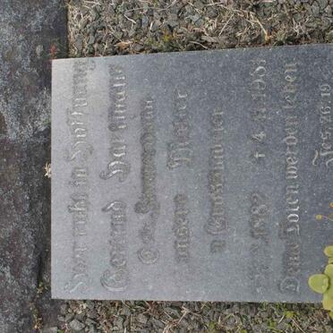 HARTMANN Gertrud nee ZIMMERMANN 1882-1981