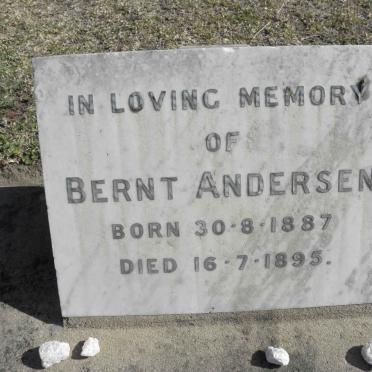 ANDERSEN Bernt 1887-1895