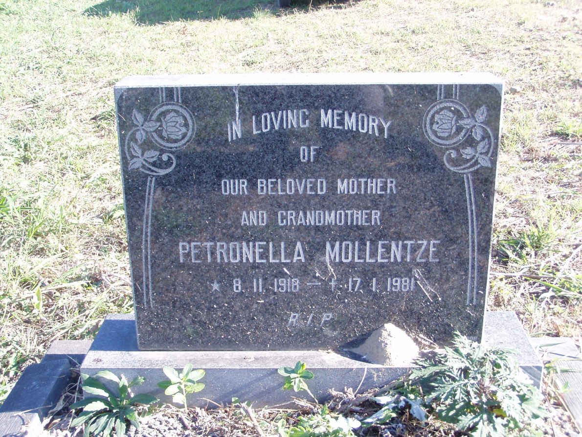 MOLLENTZE Petronella 1918-1981