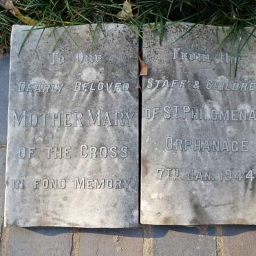 2. Plaque