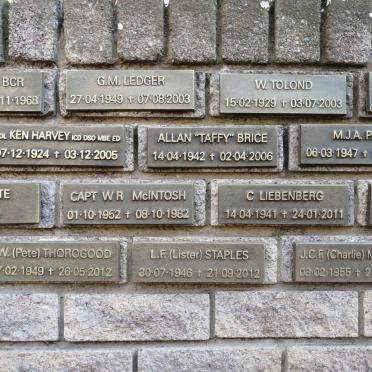 06. Plaques