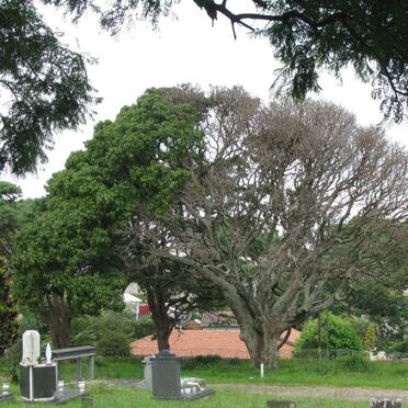 3. Overview