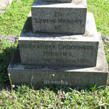 HIGGINS Alexander Underwood -1916 &amp; Rosalie Angier -1931