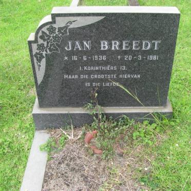 BREEDT Jan 1936-1981