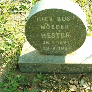 WALT Hester, van der 1897-1987