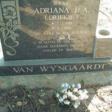 WYNGAARDT Adriana H.A., van 1949-1990
