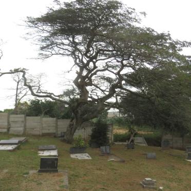 5. Overview