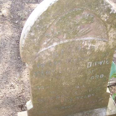 DOWIE Mary Lilia