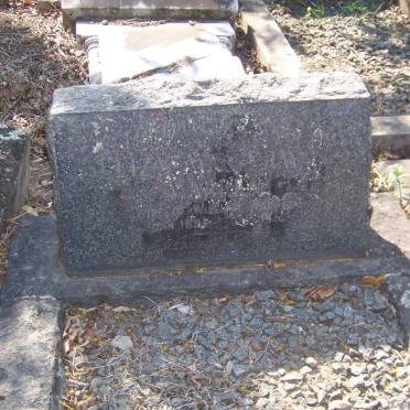 WARREN Eliza Masterman 1855-1919