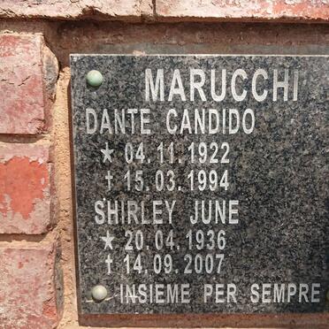 MARUCCHI Dante Candido 1922-1994 :: MARUCCHI Shirley June 1936-2007