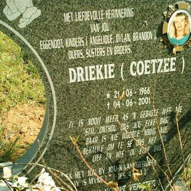 COETZEE Driekie 1966-2001