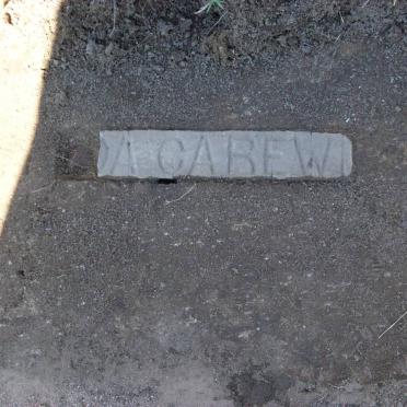 C - Surnames :: Vanne - C