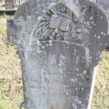 PENNINGTON George Elliot 1891-1893